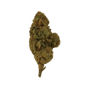 Lemon Runtz THCA Flower (Sativa) - bud