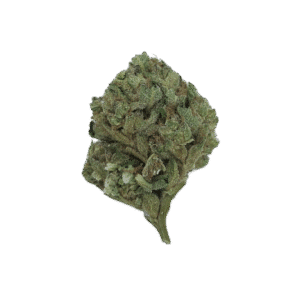 Purple Passion THCA flower - bud