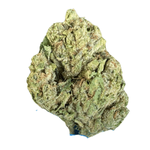 Purple Passion THCA Flower Enlarged Bud