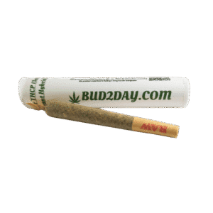 MAC-1 THCP RAW Cone product image