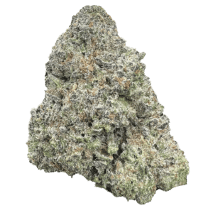 Cream Soda THCP Flower Enlarged Bud