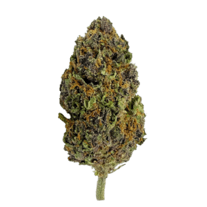 Jack Herer THCP Flower Bud