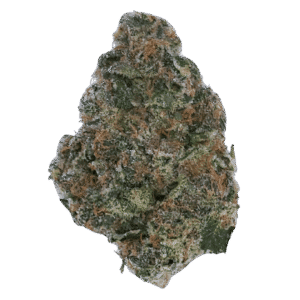 Super Boof THCA Flower (Sativa) - 32.34% Insanely Potent