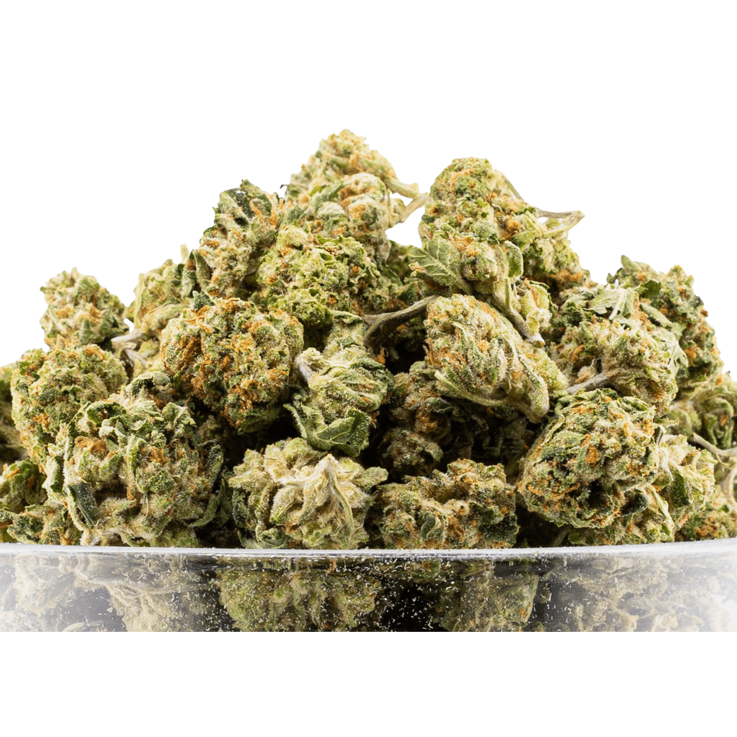 Couch Locked (Indica) - 26.49% Highly Potent