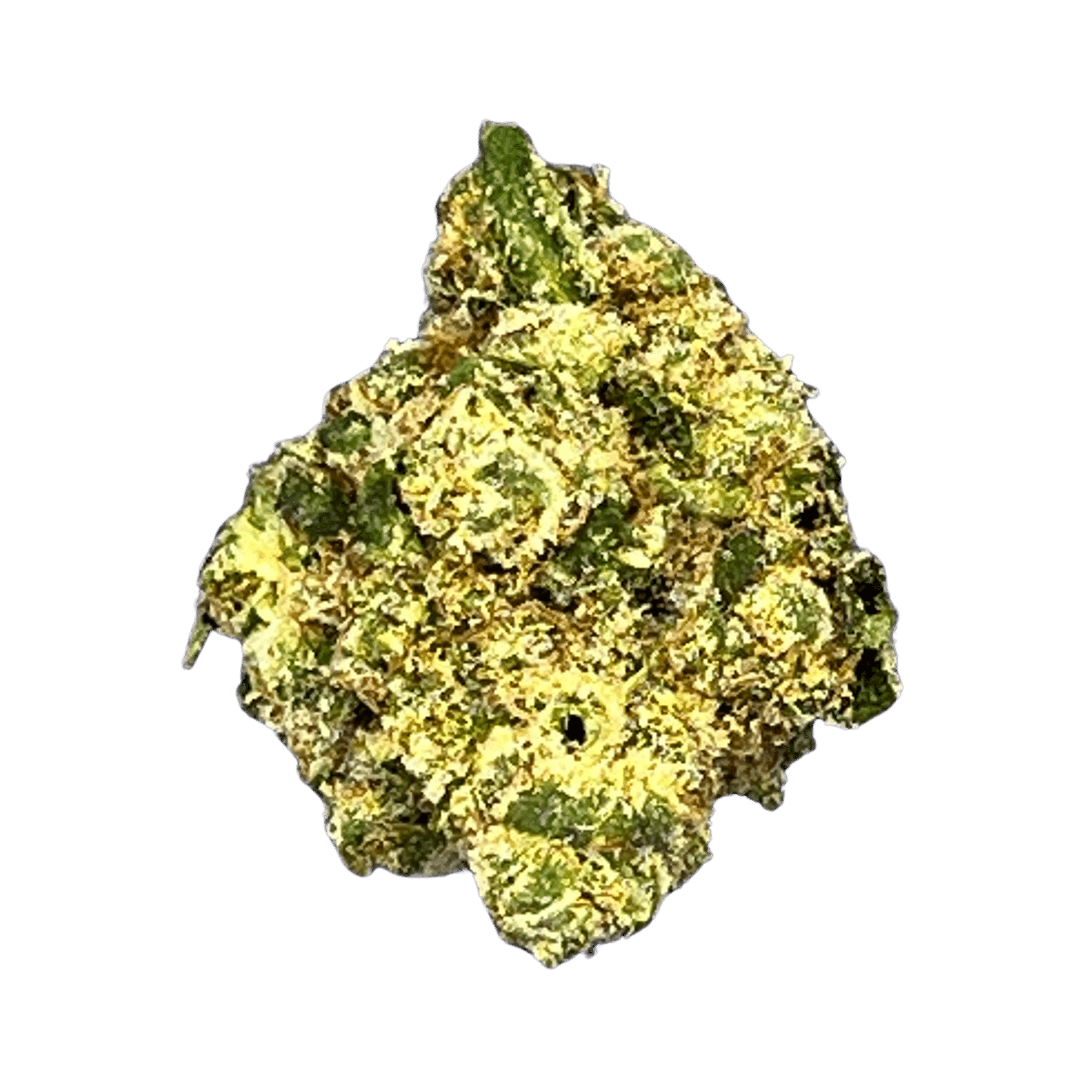 Bankrupt THCA Flower (Sativa) - 30.47% Extremely Potent