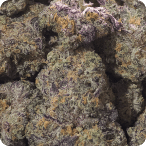 Granddaddy Purple THCA Flower Indica 35.61% THCA premium indoor hemp flower with purple frosty buds