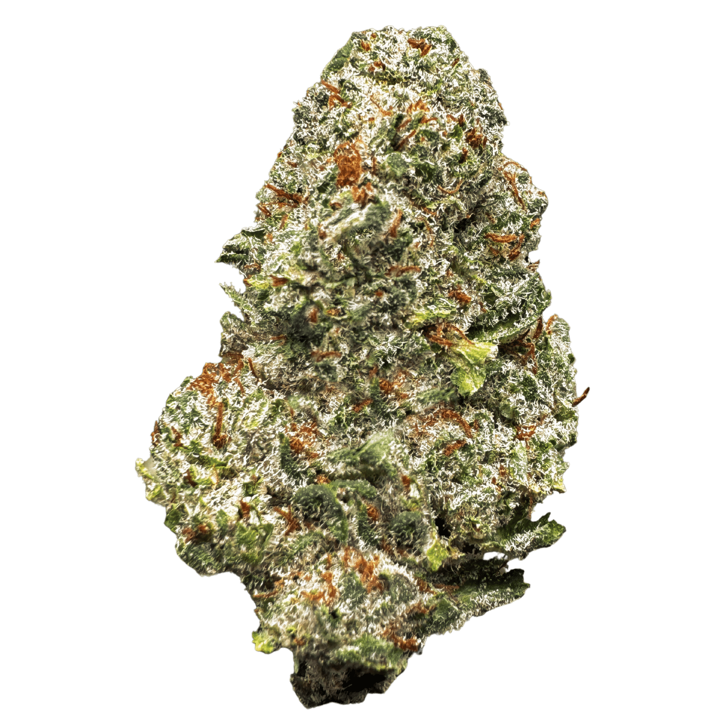 White Widow THCA Flower Hybrid 38.66% THCA Private Reserve large frosty buds premium indoor flower