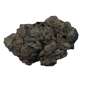 Biscotti x Jealousy (Hybrid) - 30.95% Insanely Potent